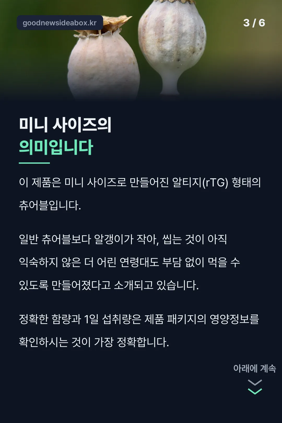 미니 사이즈 알티지 설명