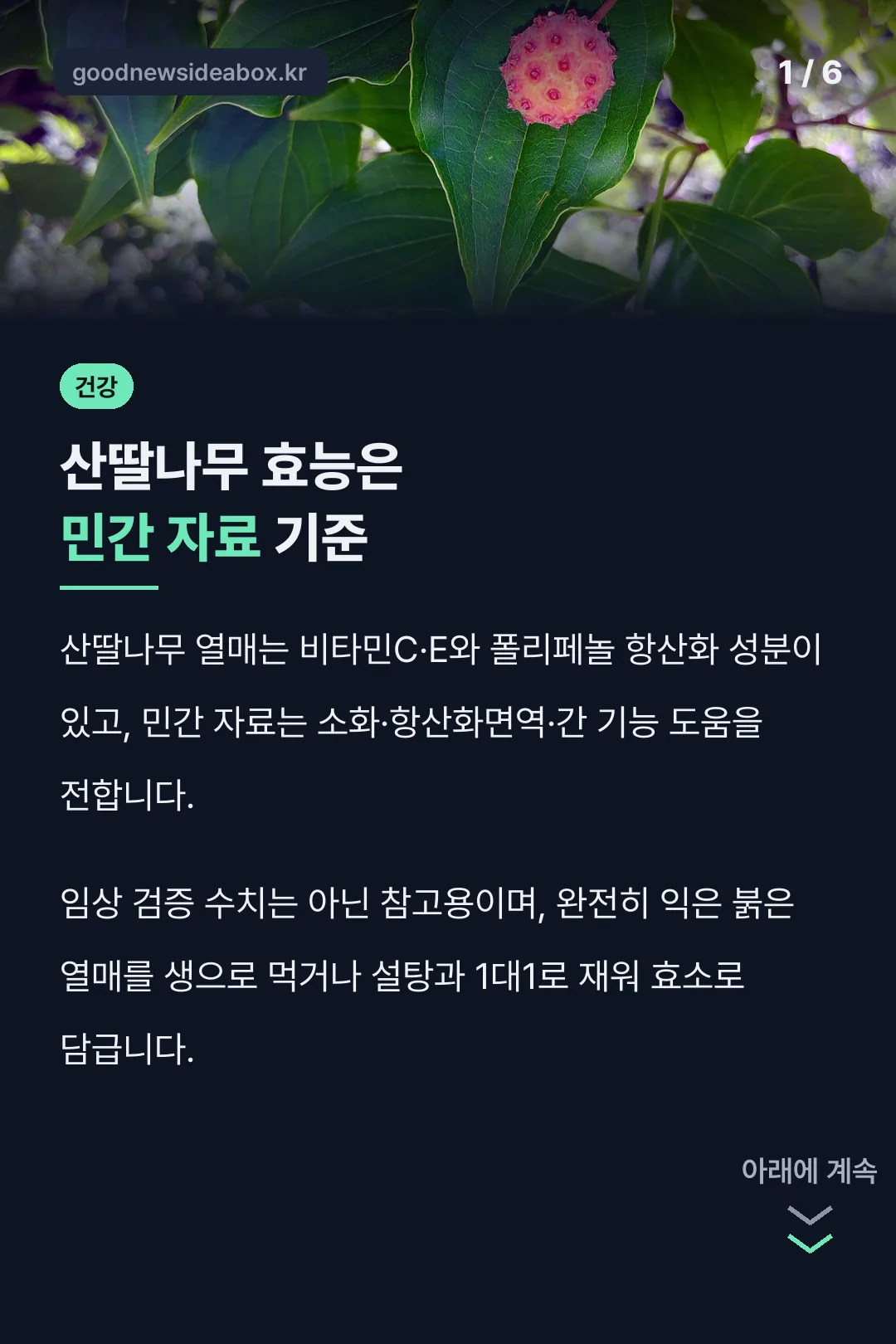 산딸나무 효능은 민간 자료 기준