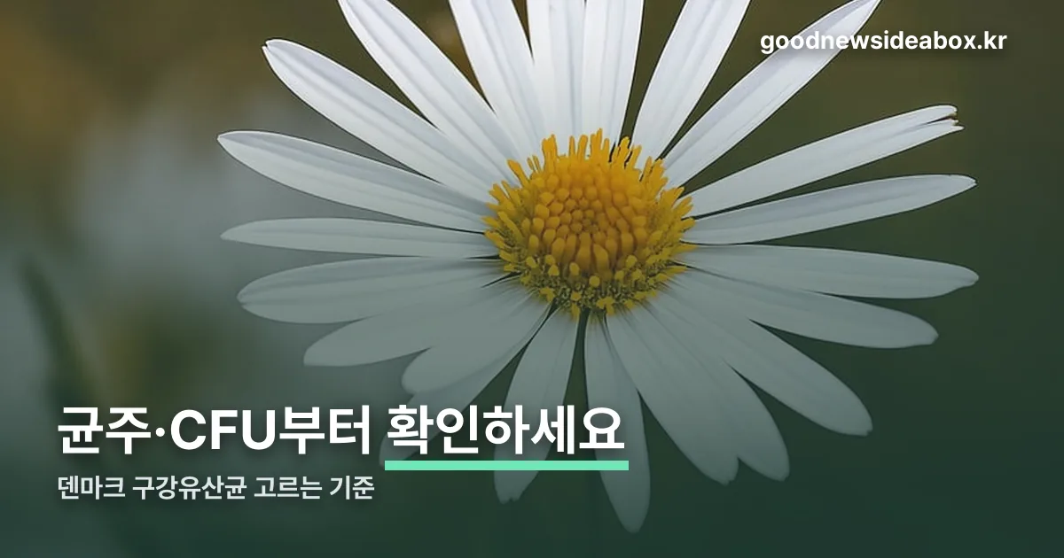 덴마크 구강유산균 정리 썸네일