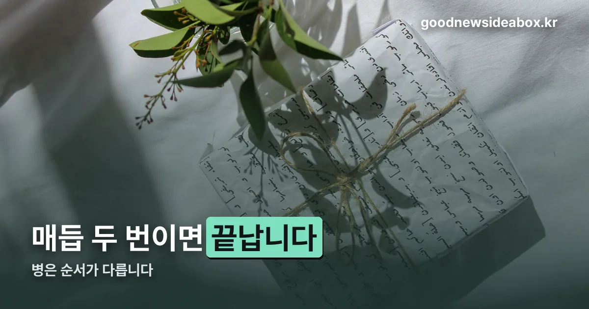 보자기 포장 정리 썸네일