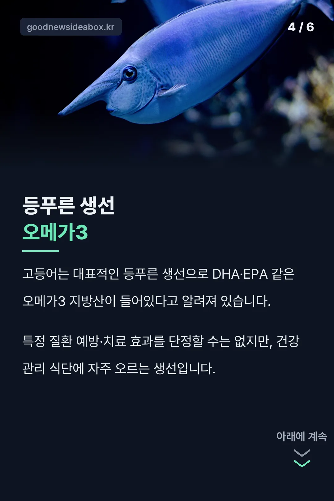 오메가3 등푸른 생선