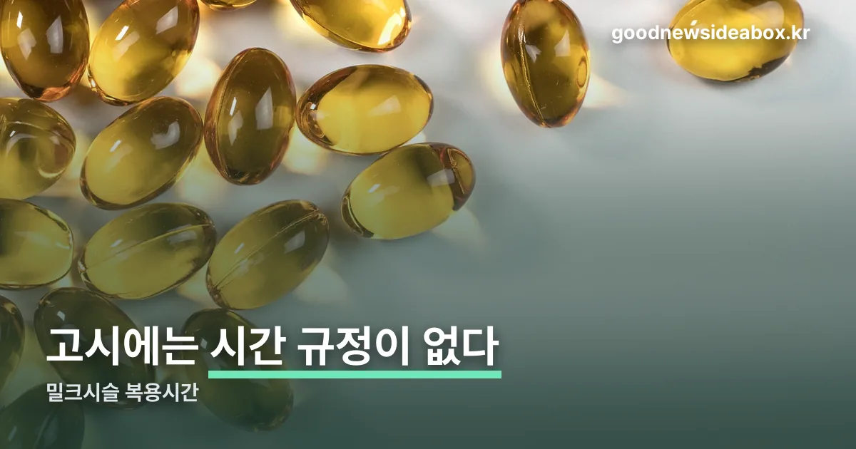 밀크시슬 복용시간 정리 썸네일