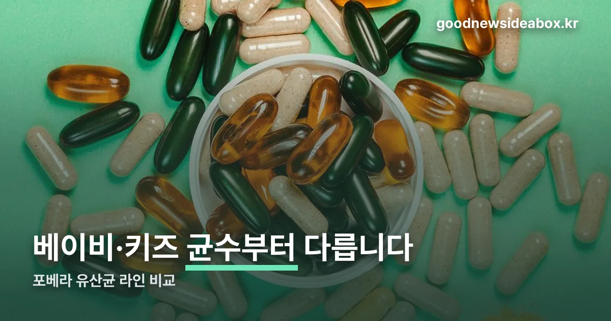 포베라 유산균 정리 썸네일