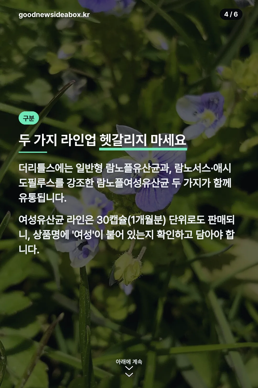일반형·여성형 구분