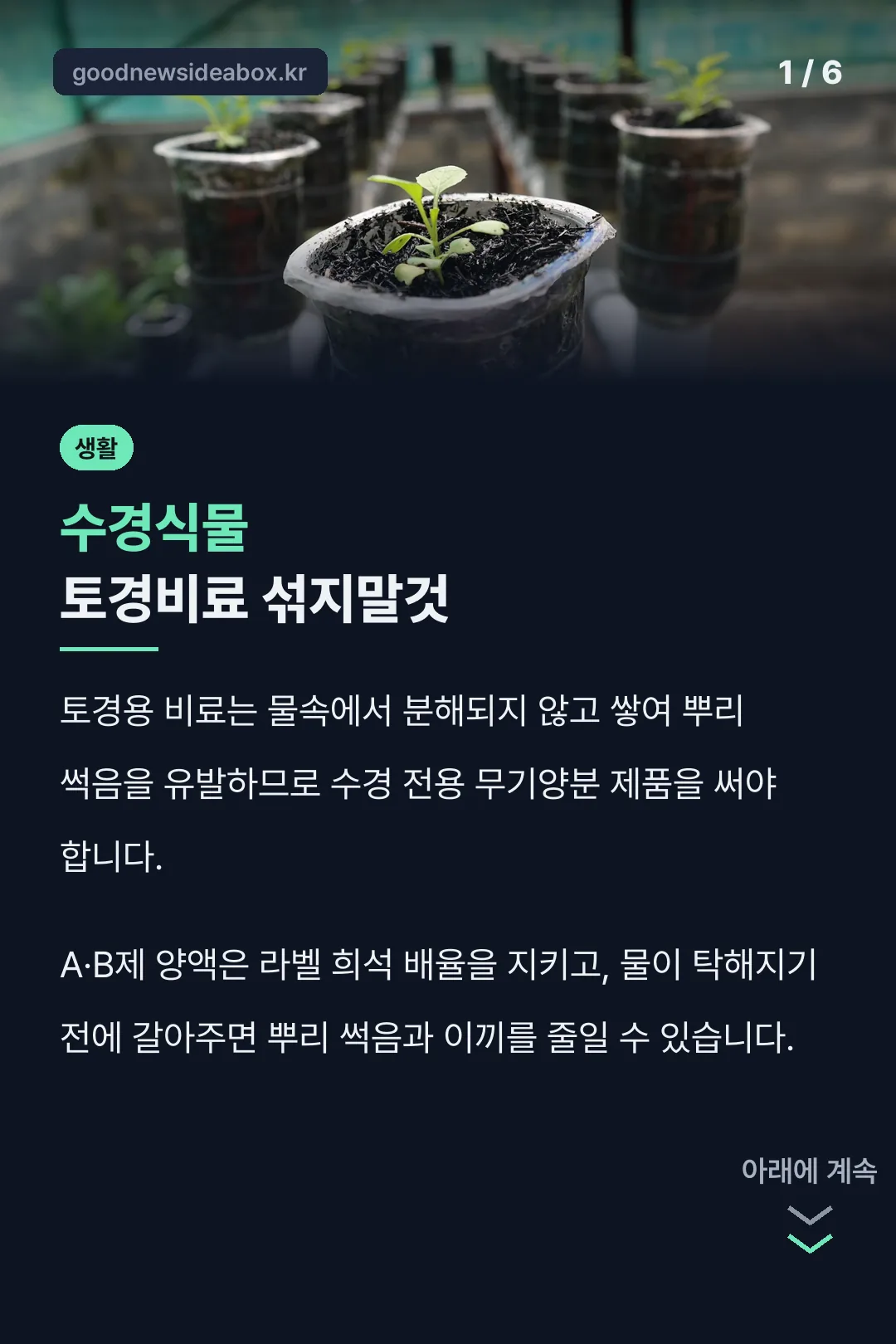수경식물 토경비료 섞지말것
