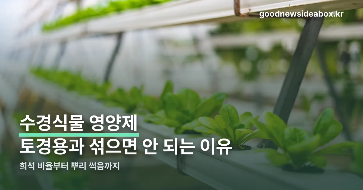 수경식물 영양제 정리 썸네일
