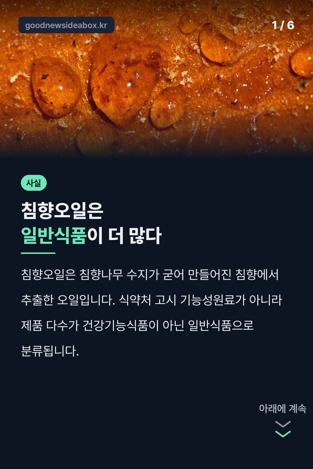 침향오일 식품 분류 핵심