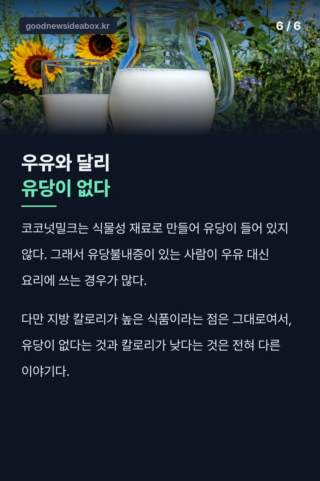 유당 없는 코코넛밀크와 우유 비교