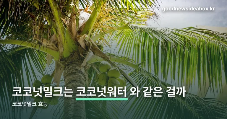 코코넛밀크 효능 정리 썸네일