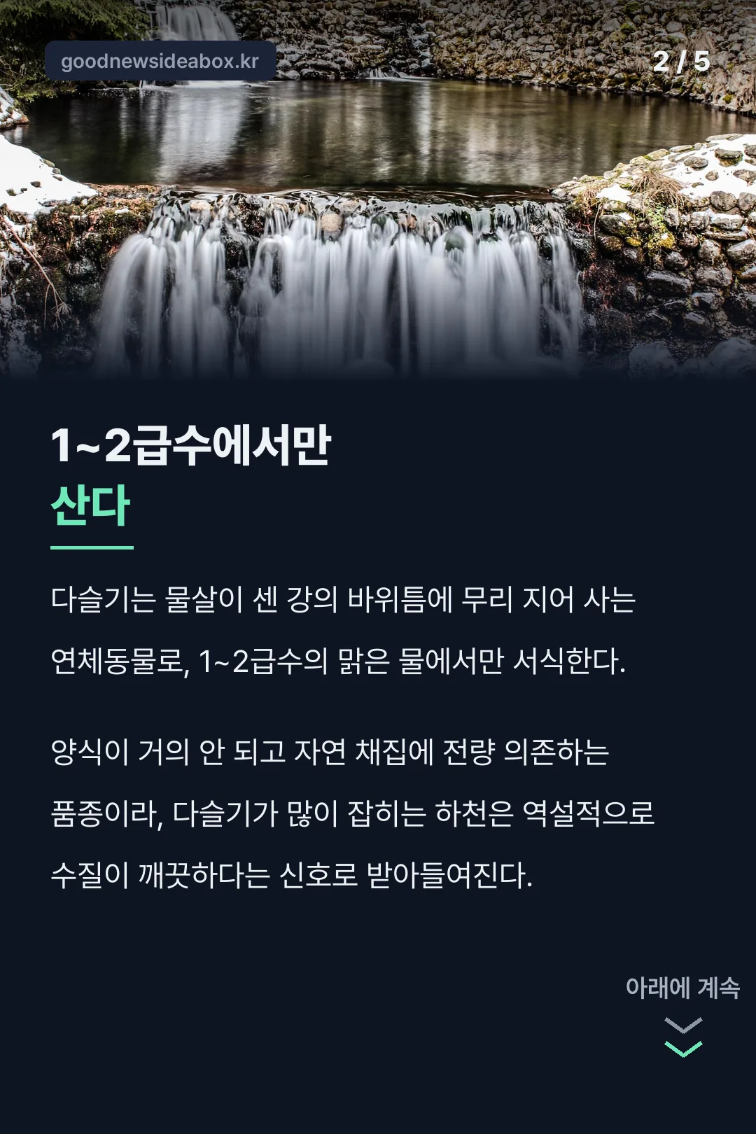 1~2급수에서만 사는 다슬기
