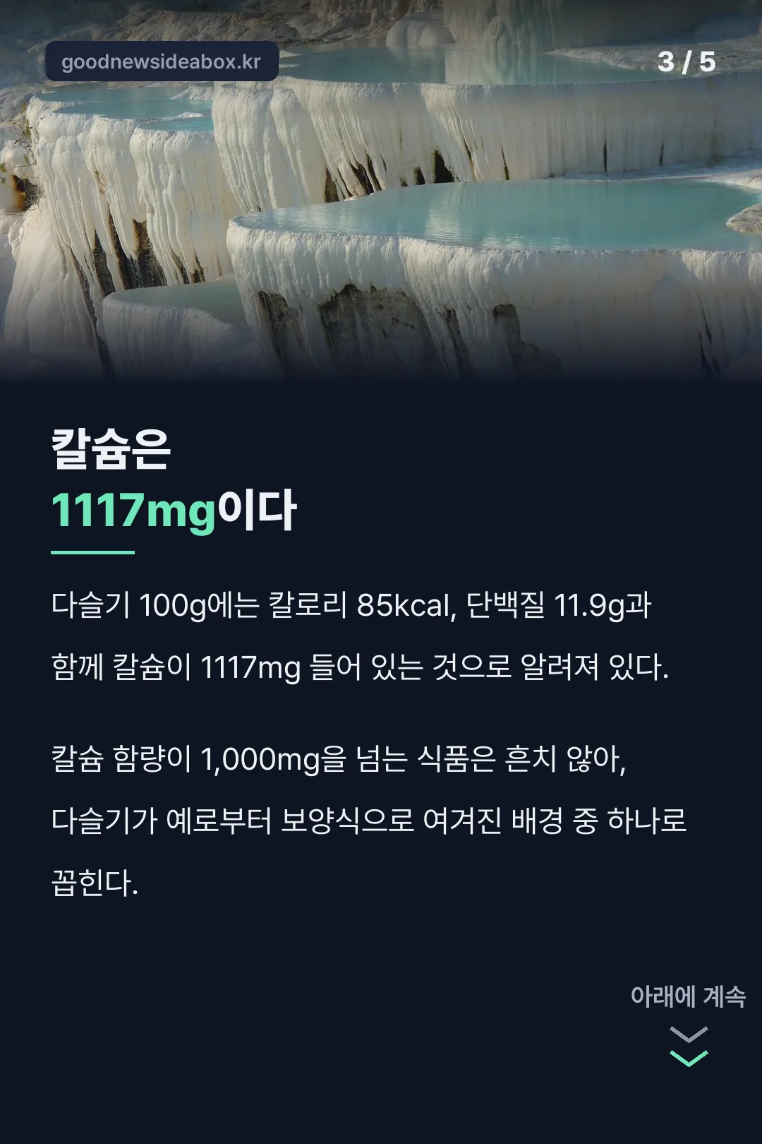 다슬기 칼슘 1117mg