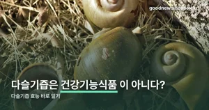 다슬기즙효능, 건강기능식품 원료는 아니라는 사실부터
