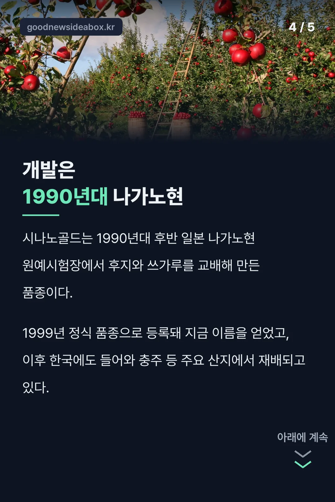 1990년대 나가노현 개발 역사