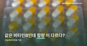 고농축비타민B — 식약처 인정 기능성과 고함량 기준