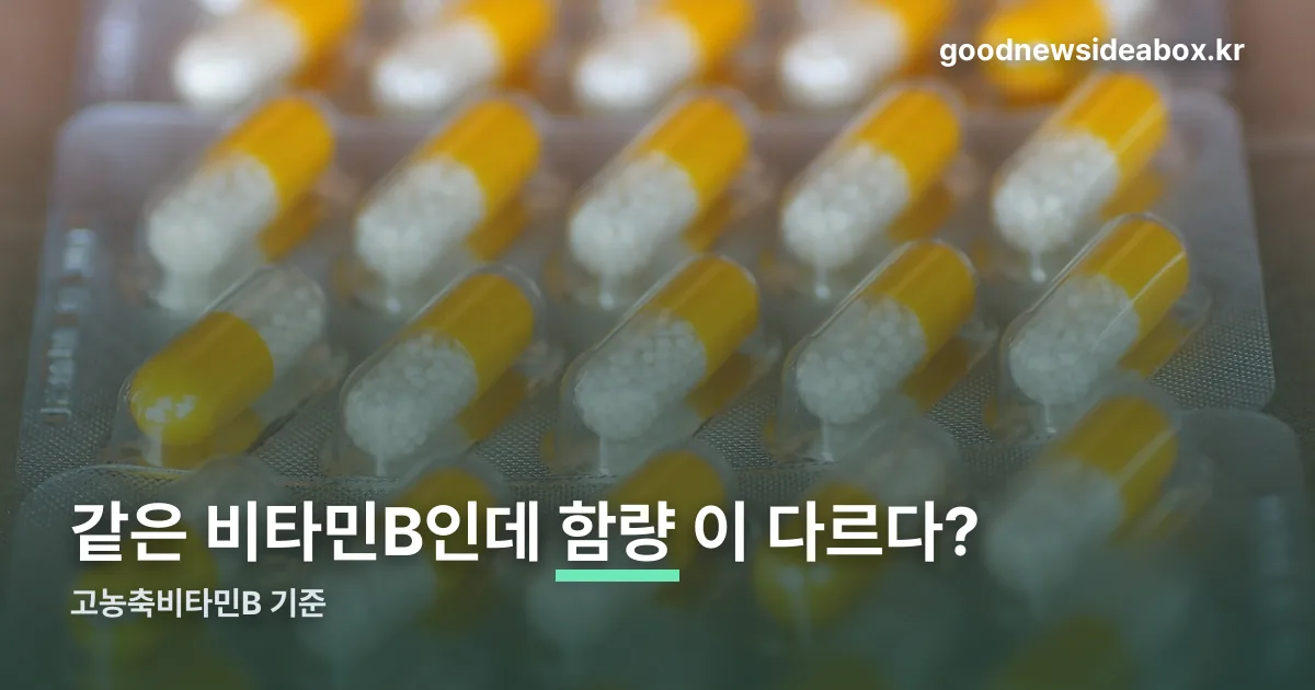 고농축비타민B 정리 썸네일