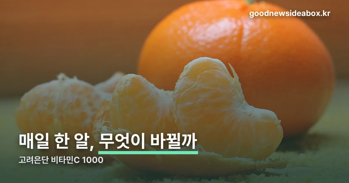 고려은단 비타민 정리 썸네일