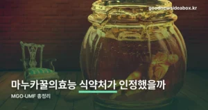 마누카꿀의효능 — MGO·UMF 등급과 국내 분류 기준 (10월 4일 기준)