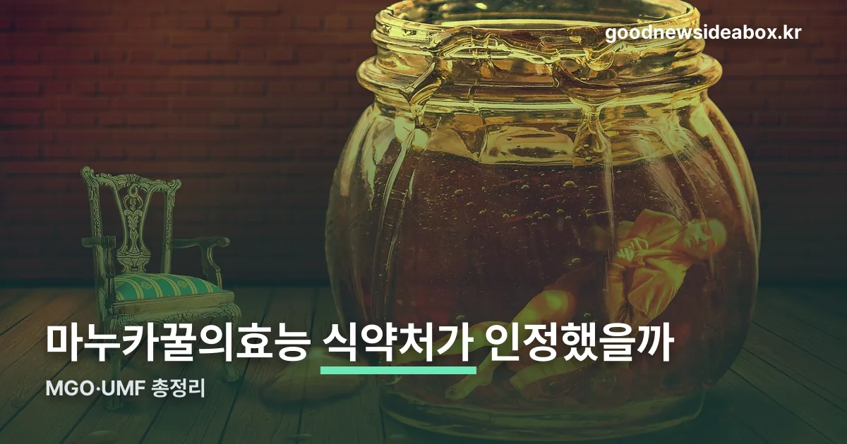 마누카꿀의효능 정리 썸네일