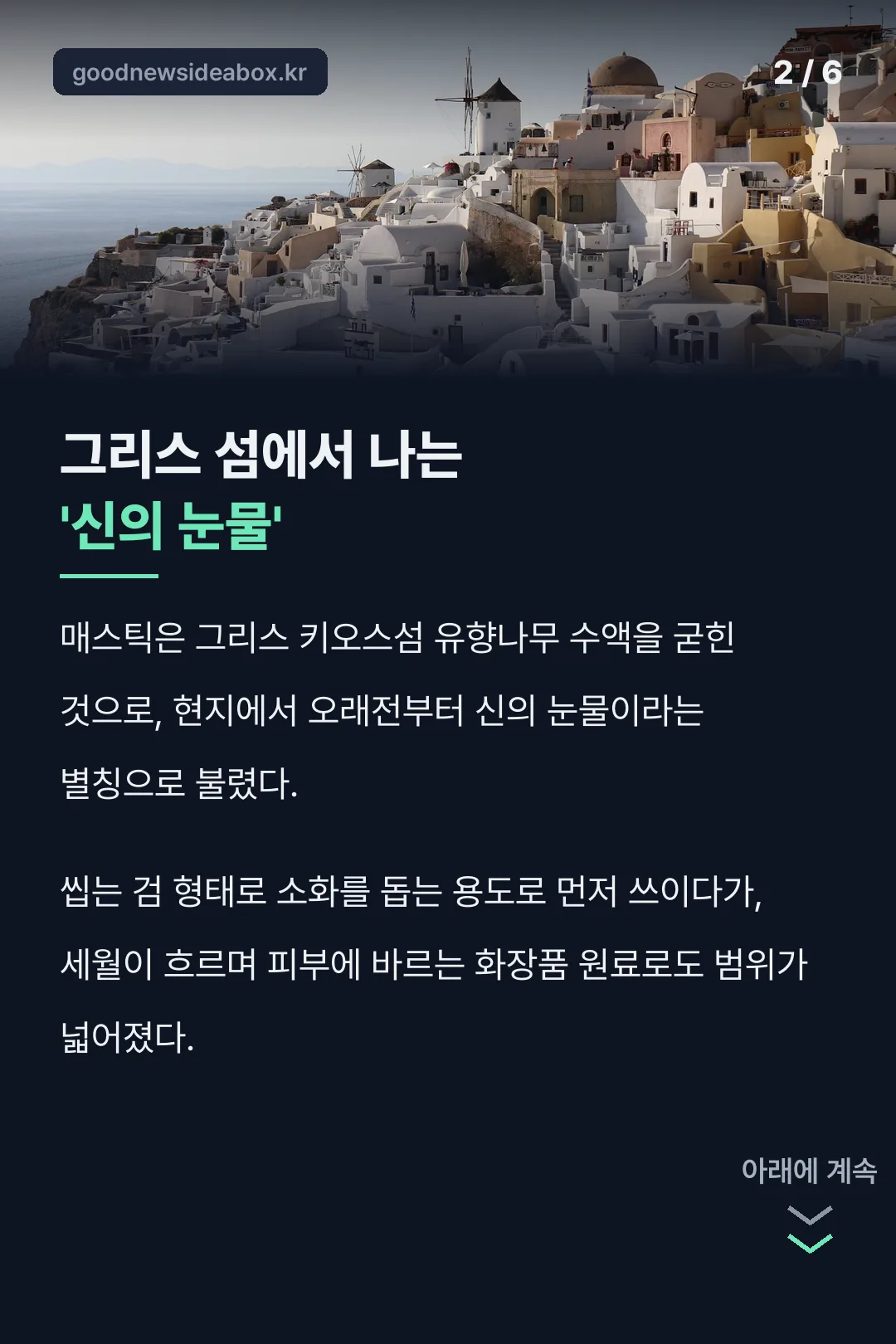 매스틱의 유래 그리스 키오스섬