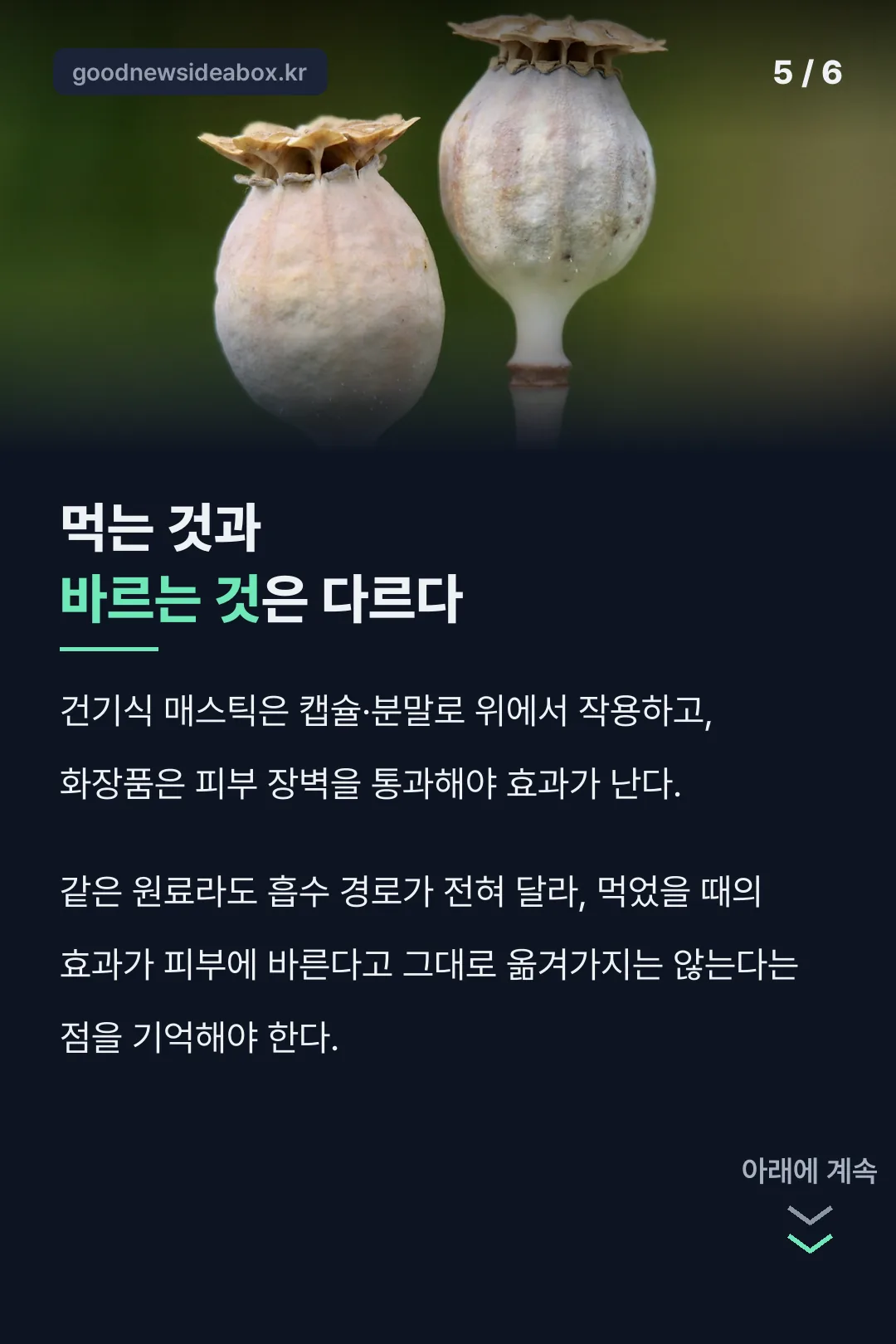 먹는 것과 바르는 것의 차이
