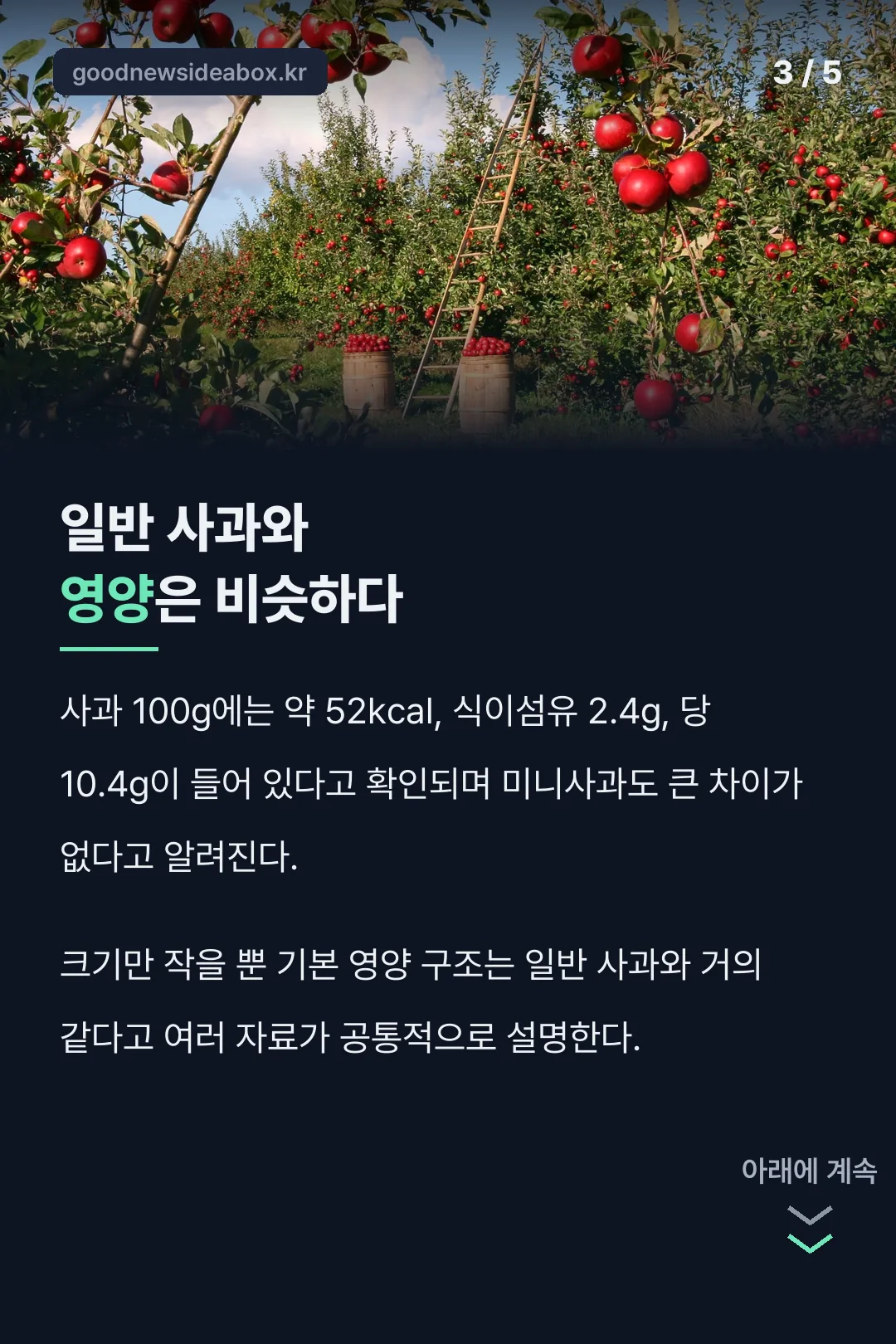 미니사과 일반 사과와 영양 비교