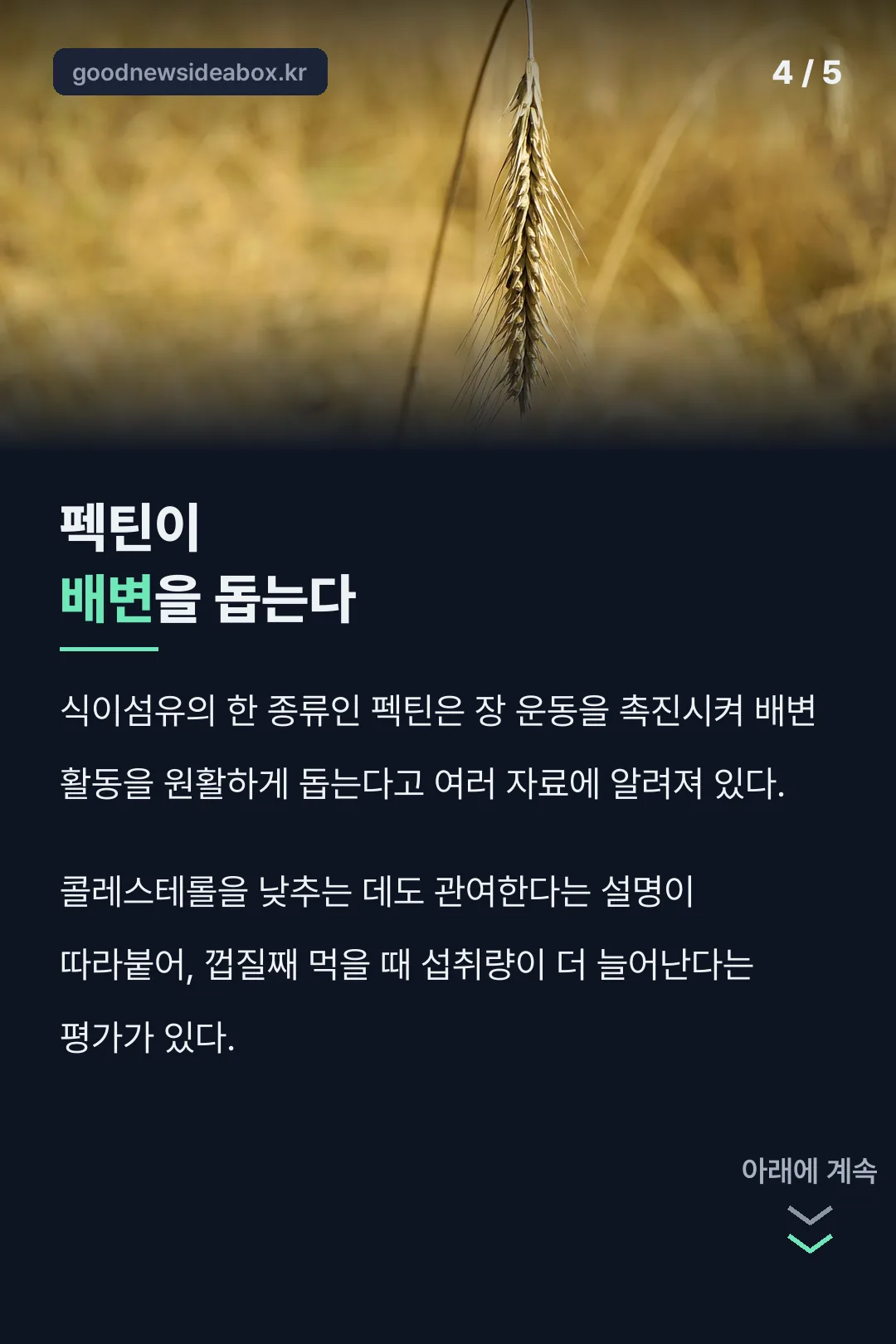 미니사과 펙틴 배변 효과