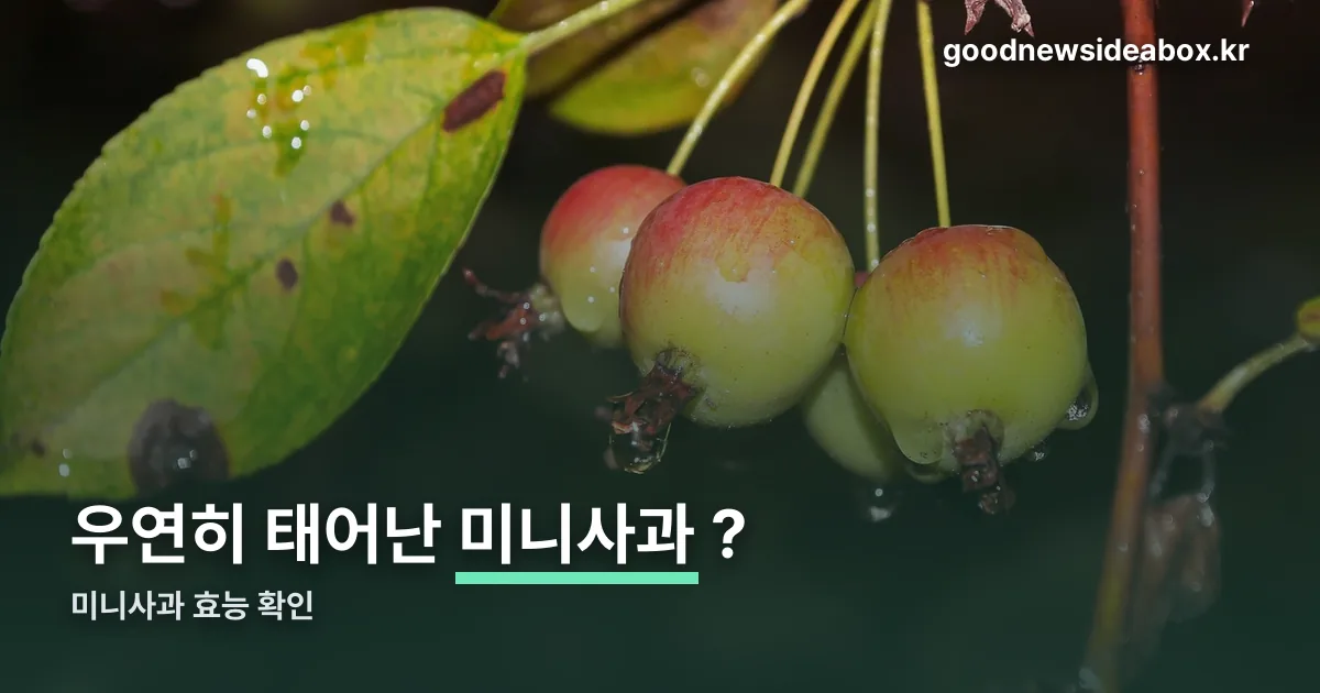 미니사과 효능 정리 썸네일