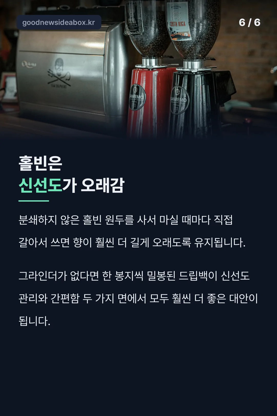 홀빈과 드립백 보관 비교