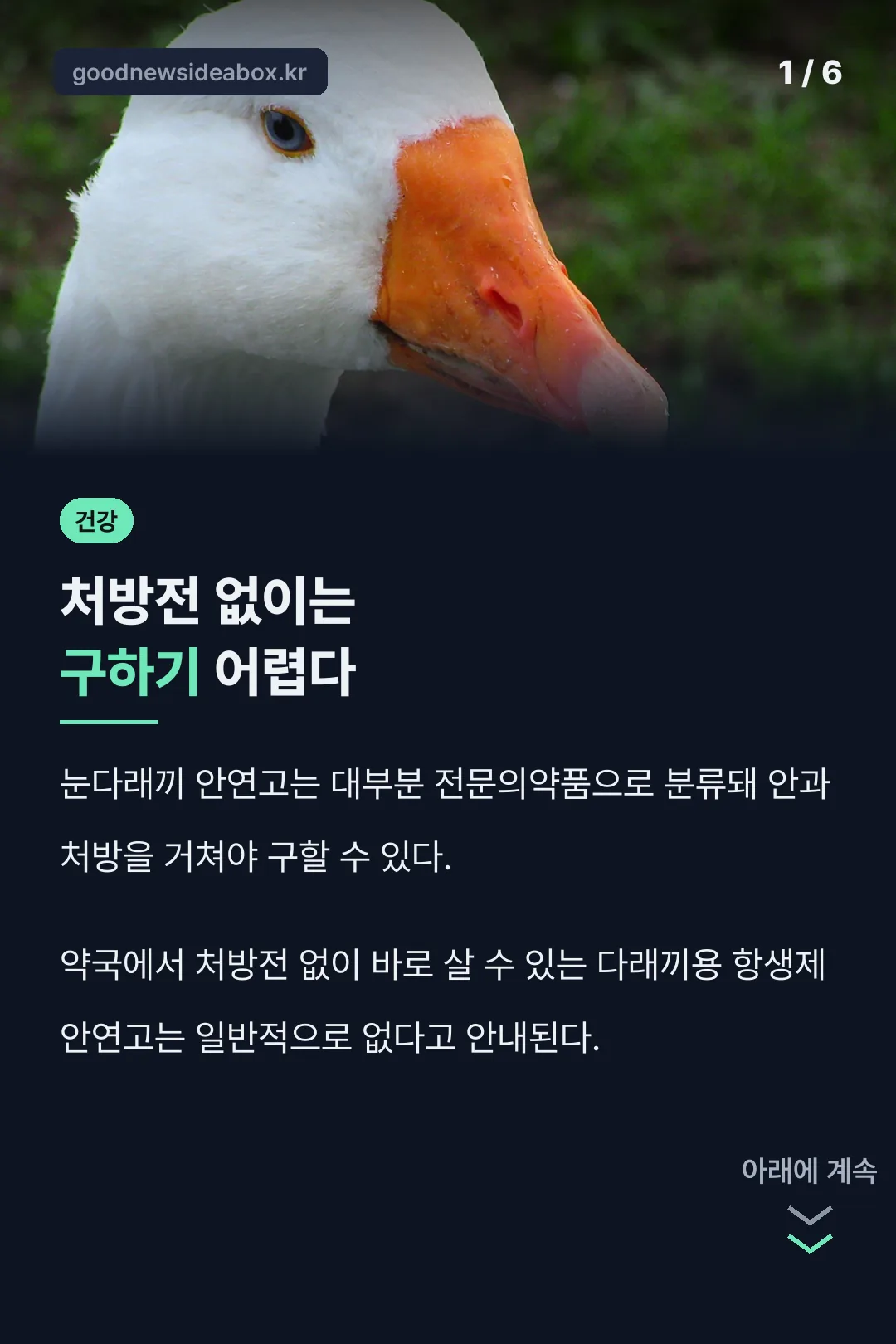 눈다래끼 안연고 핵심