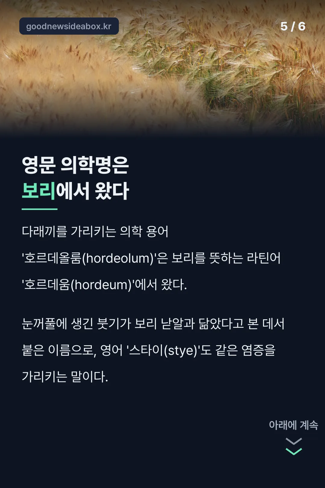 다래끼 영문명의 유래