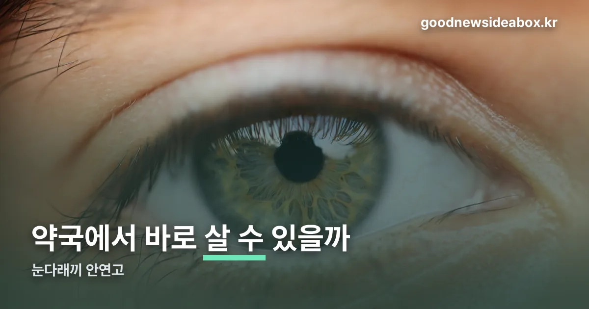 눈다래끼 안연고 정리 썸네일